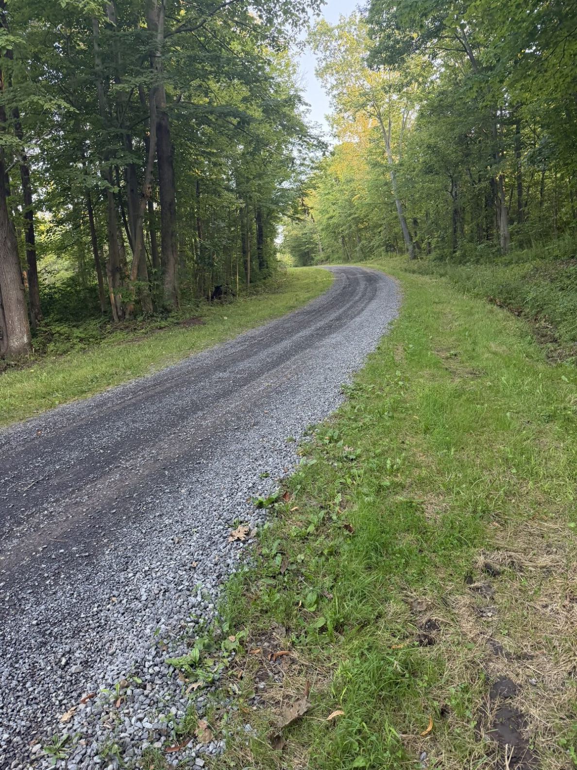 19 dogwood road access