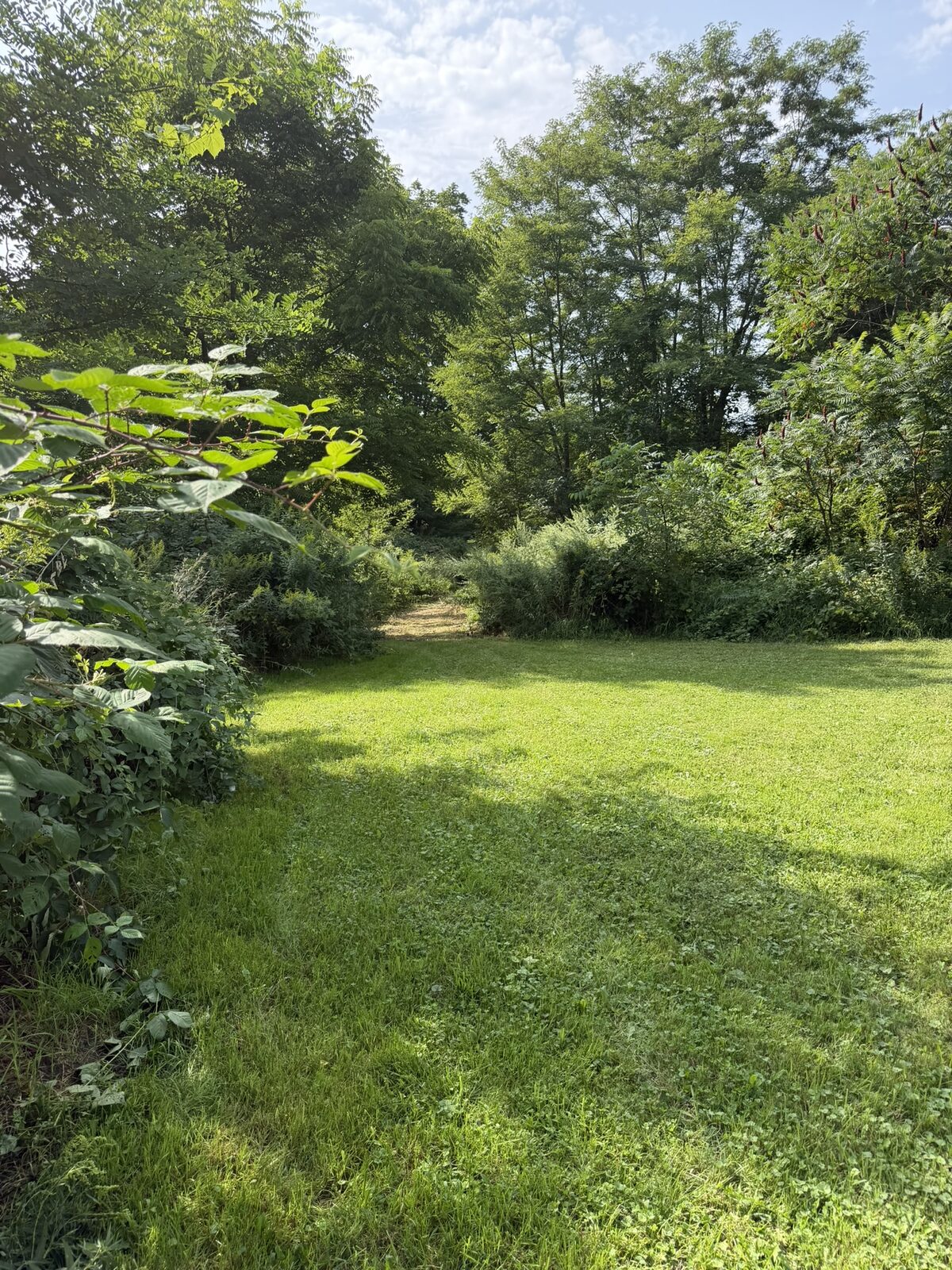 13 grassy woodland access