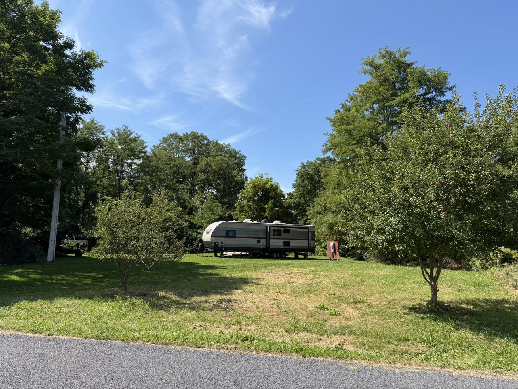 09 roadside clearing