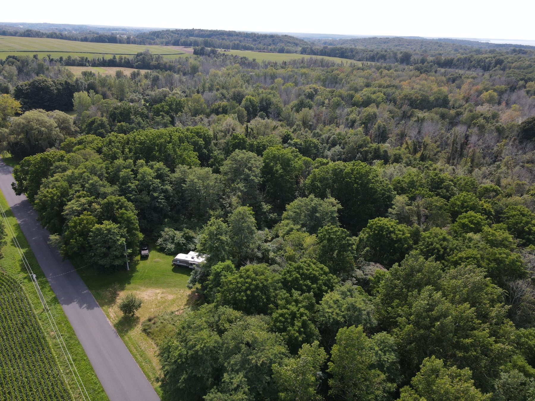 03 aerial road and woods