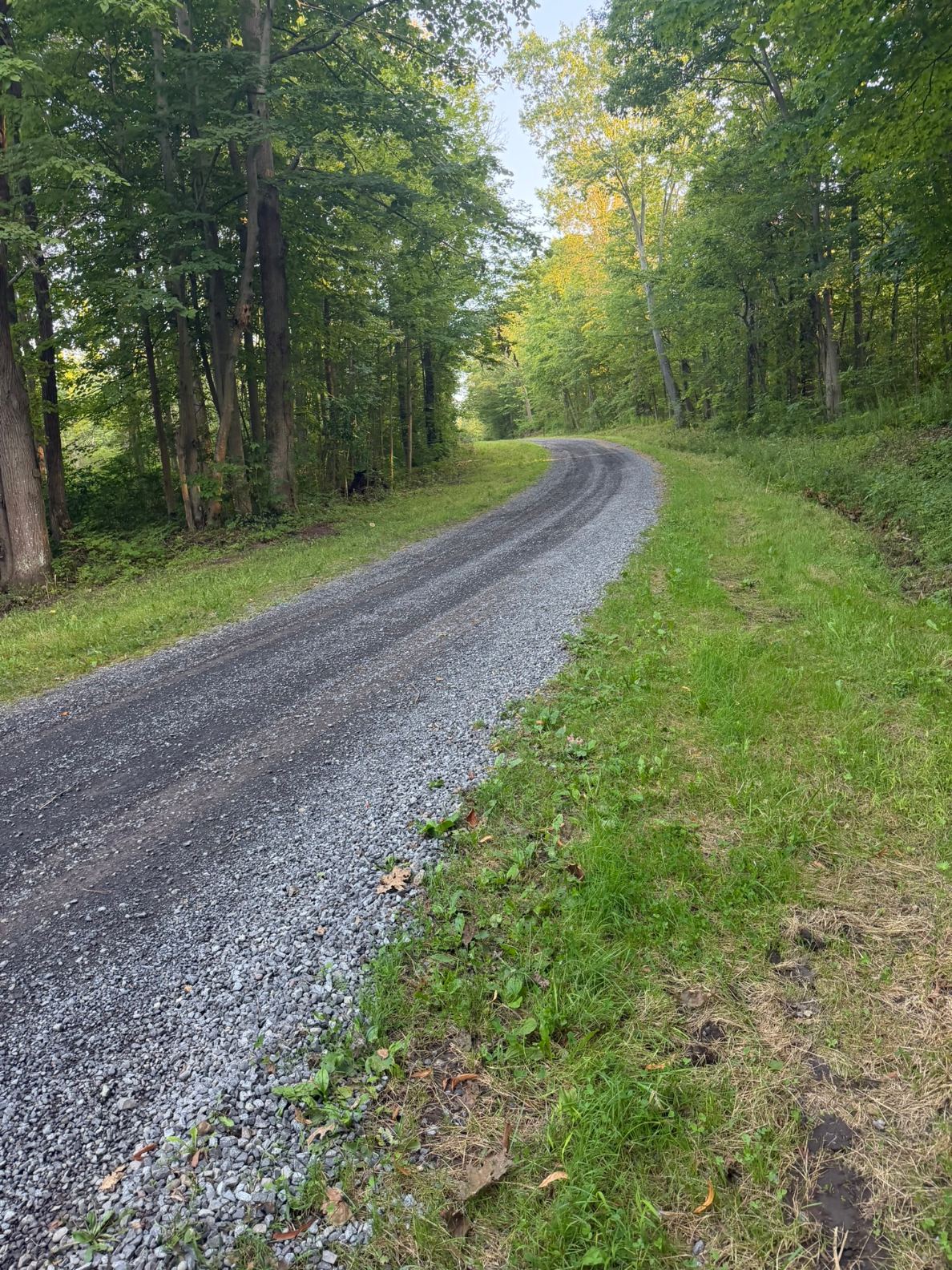 Alongside Dogwood Road