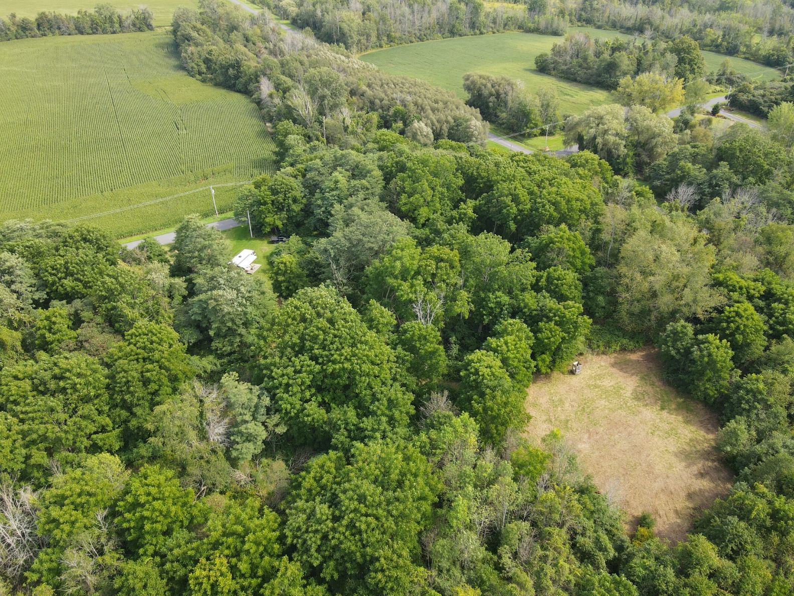 04 aerial central clearing